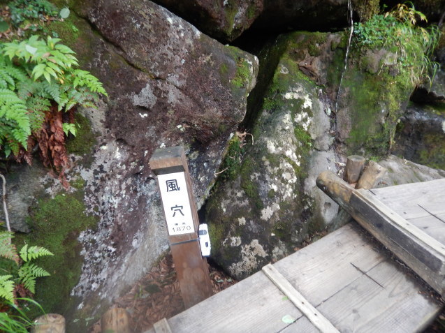 f0118332_13052194.jpg