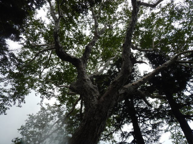 f0118332_13072184.jpg
