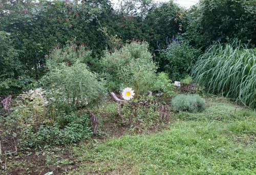 f0042637_08551110.png
