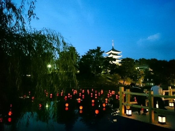 a0116538_13003946.jpg