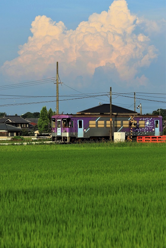 a0143839_09365079.jpg