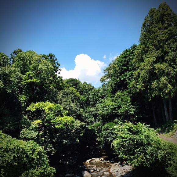 c0312349_16064591.jpg