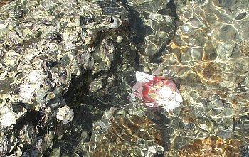 f0003283_07094882.jpg