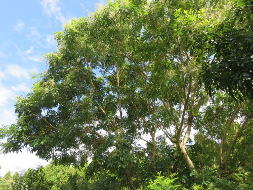f0276695_13351358.jpg