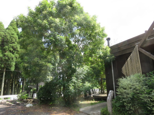 f0276695_13353613.jpg