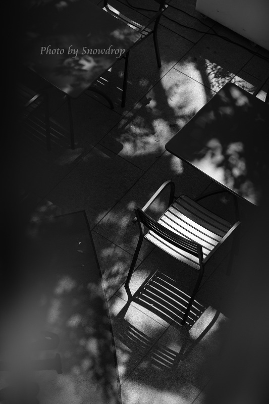 e0355004_15543371.jpg