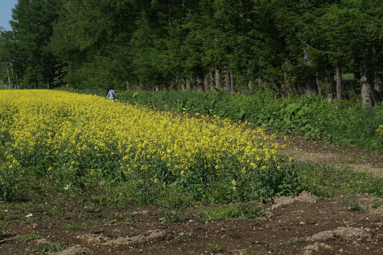 d0200811_20542387.jpg