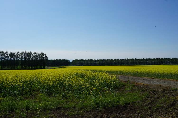 d0200811_20572125.jpg