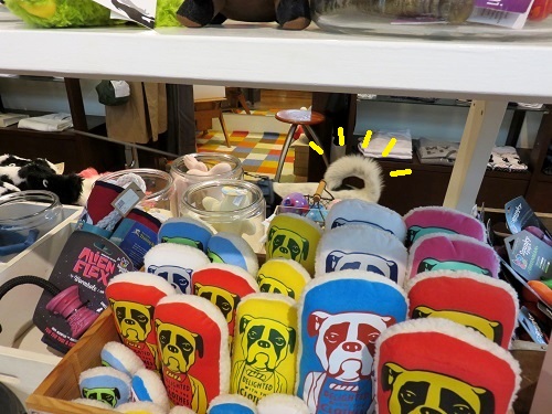 c0084117_2091056.jpg