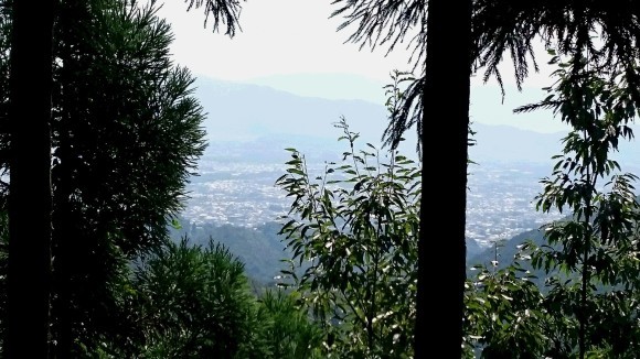 c0221718_11272973.jpg