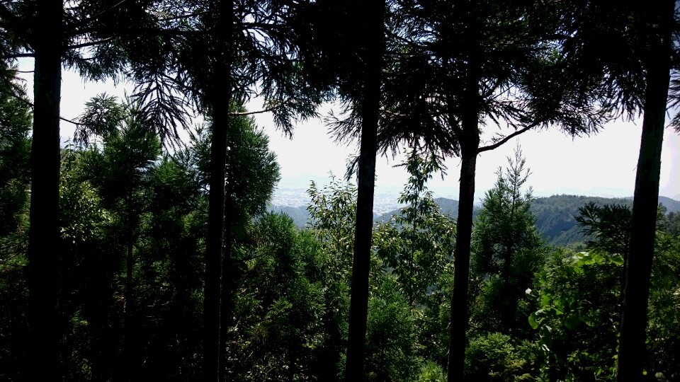 c0221718_11274625.jpg