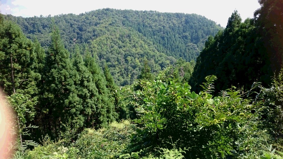 c0221718_11281399.jpg
