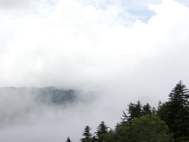 d0221319_01385614.jpg