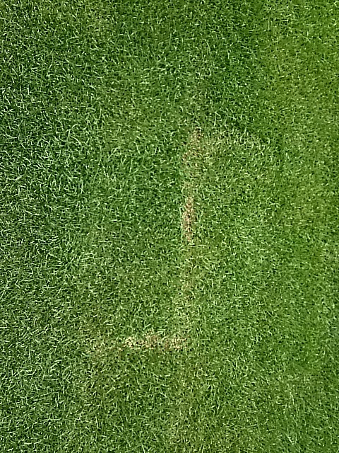 f0227321_21224939.jpg