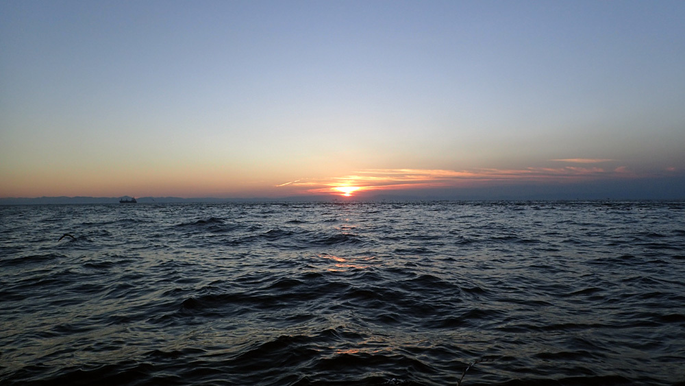 d0171823_23031213.jpg