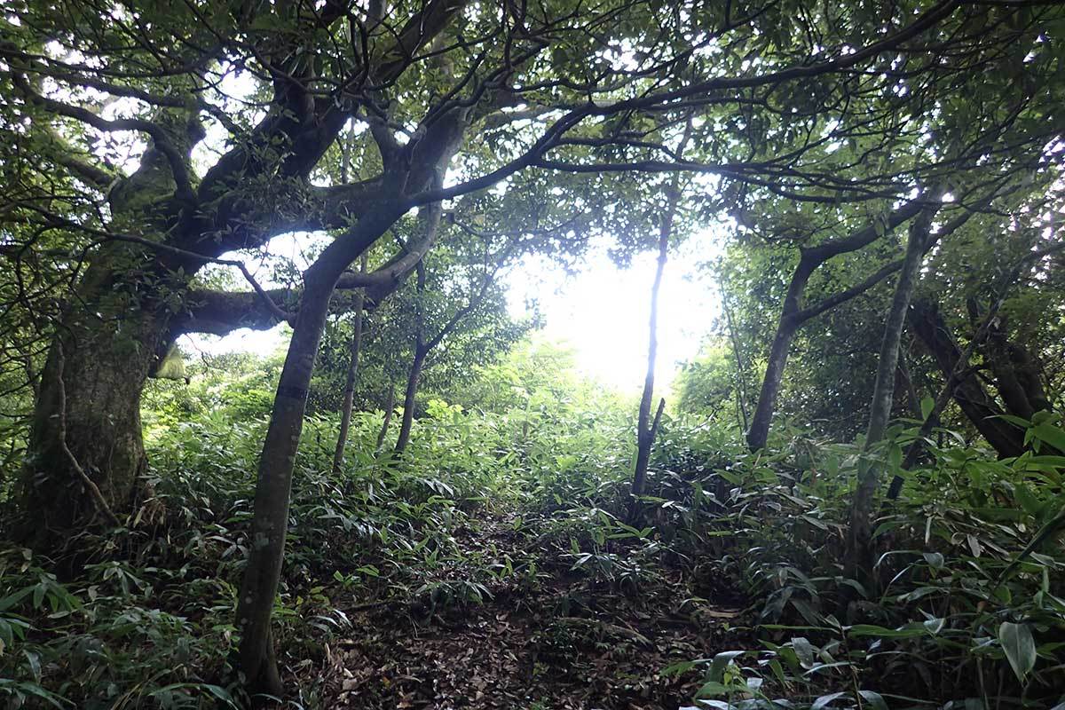 c0064025_18271453.jpg