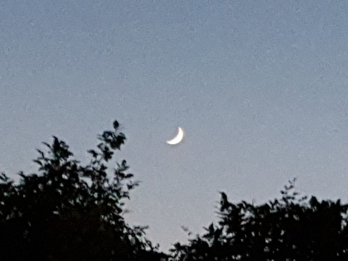 e0016828_15014117.jpg