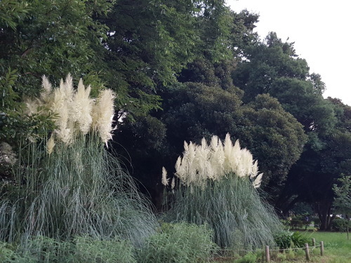 e0016828_15020050.jpg