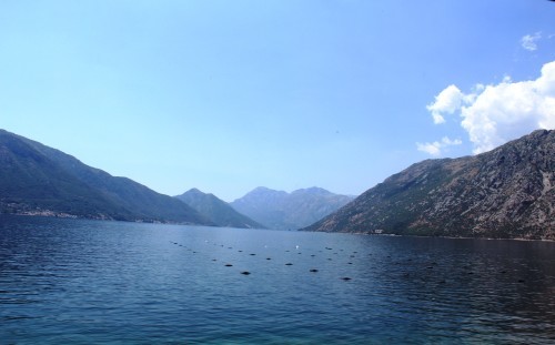 c0011649_07445361.jpg
