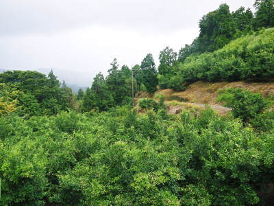 a0254656_17430410.jpg
