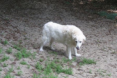 b0094265_17510670.jpg