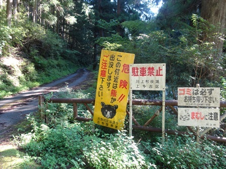 c0303868_05051471.jpg