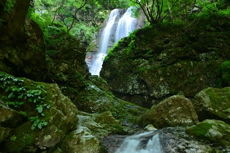 c0303868_05144129.jpg