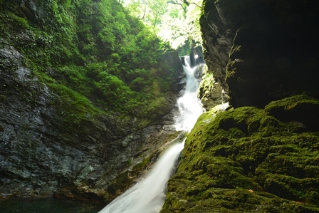 c0303868_05215659.jpg