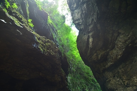 c0303868_05231343.jpg