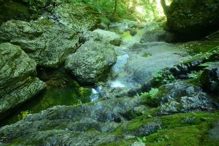 c0303868_05252207.jpg