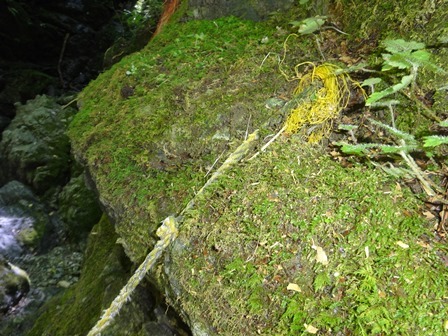 c0303868_06213225.jpg