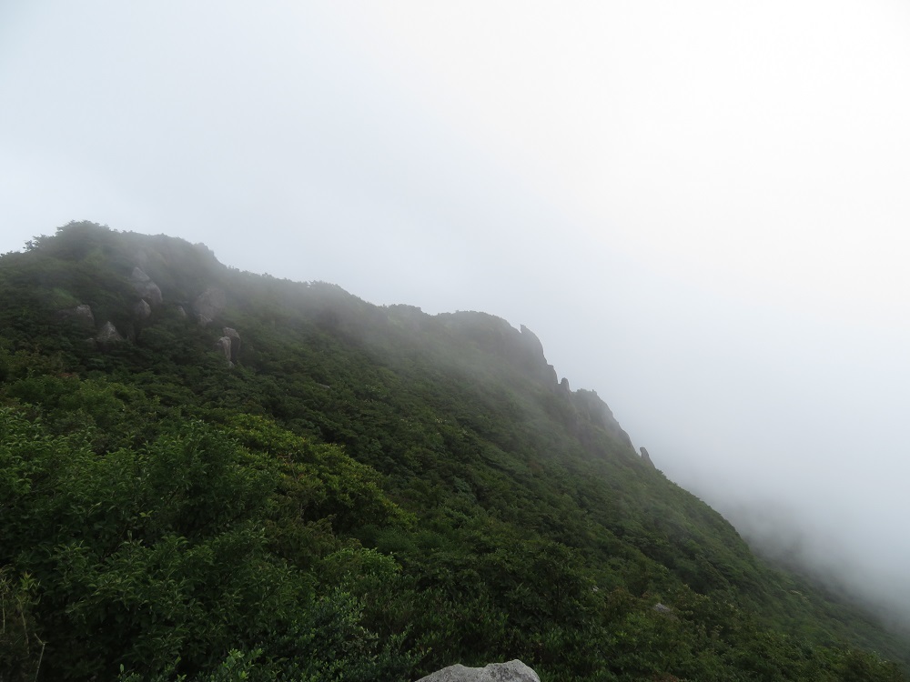 c0042869_06532121.jpg