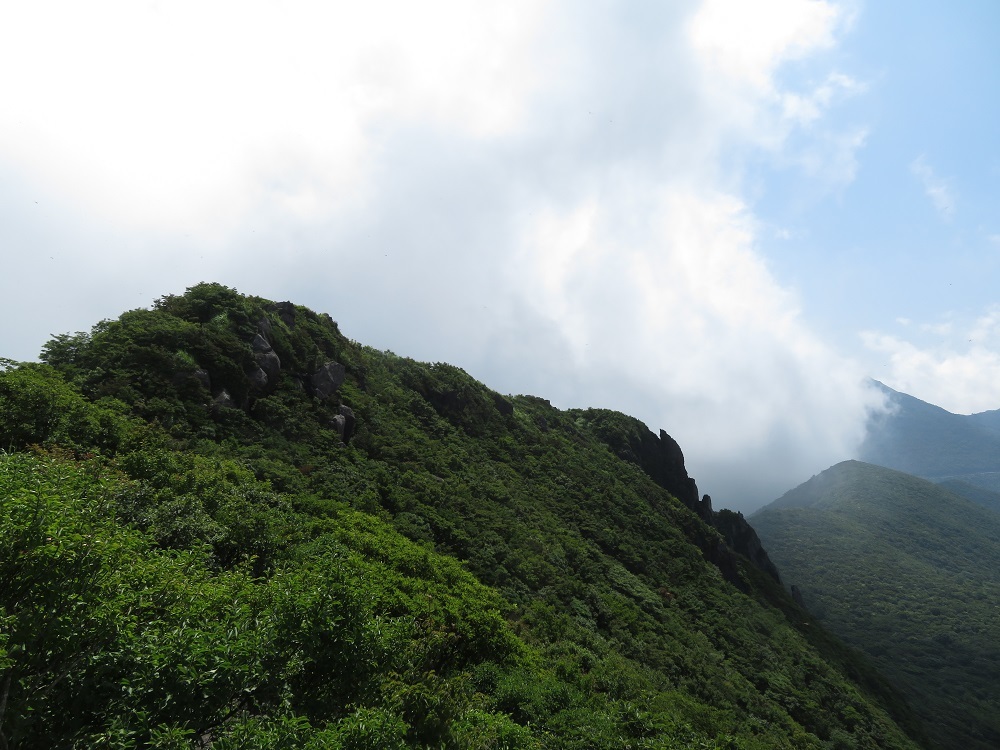 c0042869_06534244.jpg