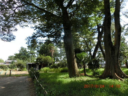d0007071_08295714.jpg