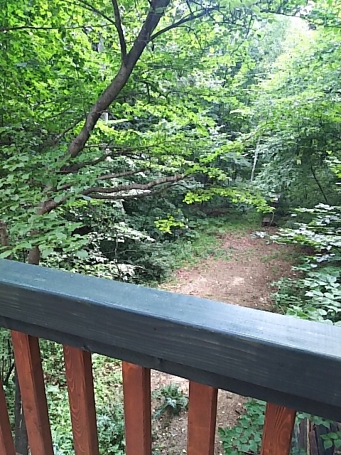 d0353074_15143385.jpg