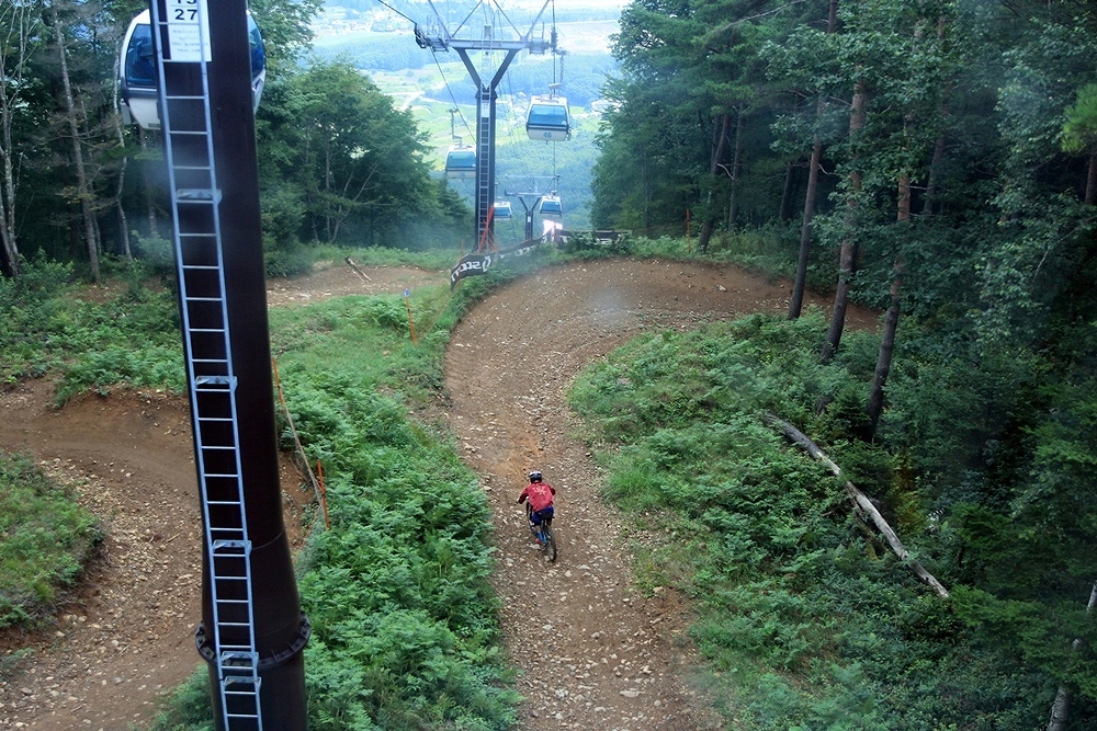 d0130286_23383332.jpg