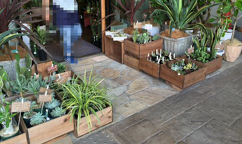 c0014187_216581.jpg