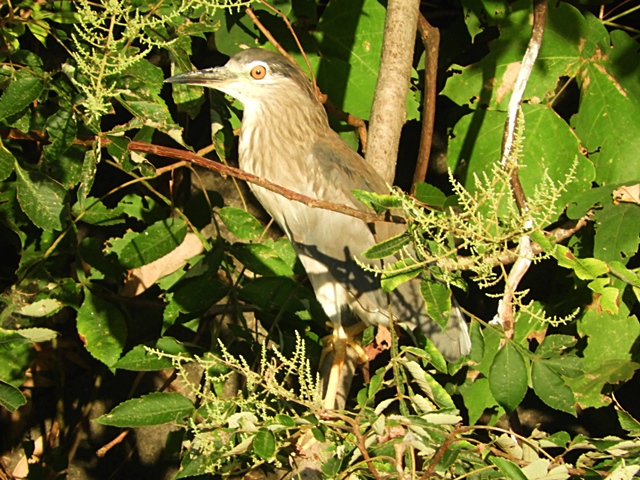 f0357487_20523062.jpg