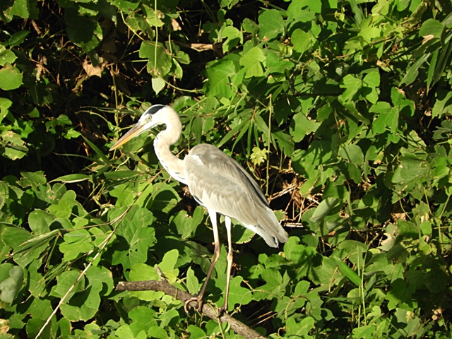 f0357487_20531290.jpg