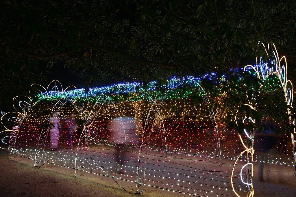 d0288500_07095768.jpg