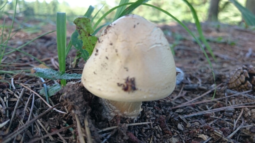 d0149105_21202010.jpg