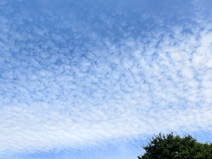 a0345107_18445596.jpg