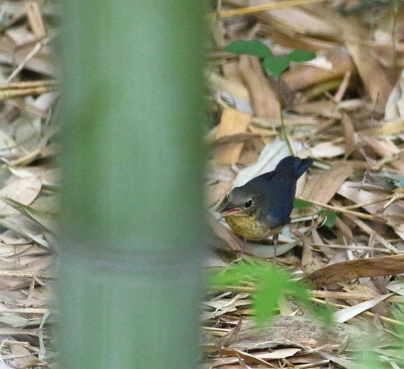 c0213607_14055130.jpg