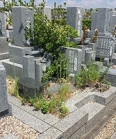 e0363711_07245087.jpg