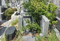 e0363711_07245128.jpg