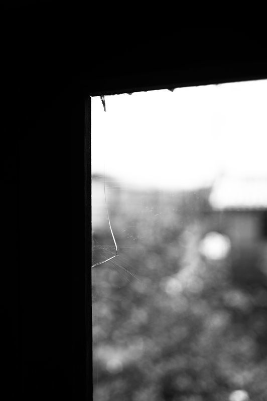 f0032011_20324157.jpg