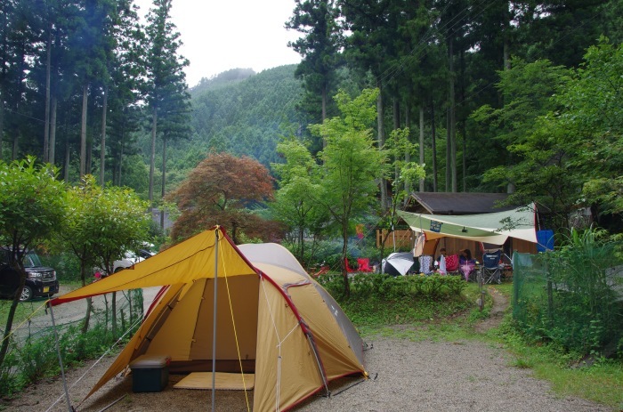 f0195813_08012024.jpg