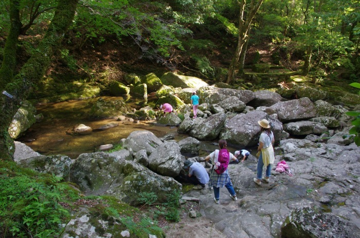 f0195813_08103998.jpg
