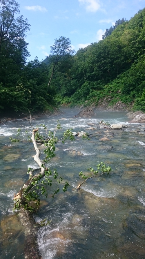 a0236914_945115.jpg
