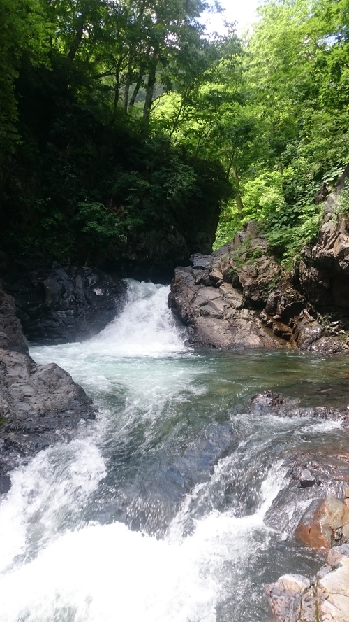 a0236914_9462468.jpg